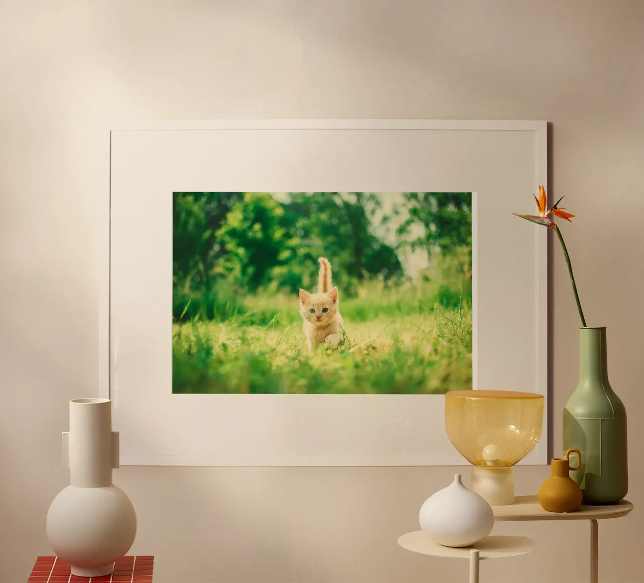 gattino baffuto poster da animal story home