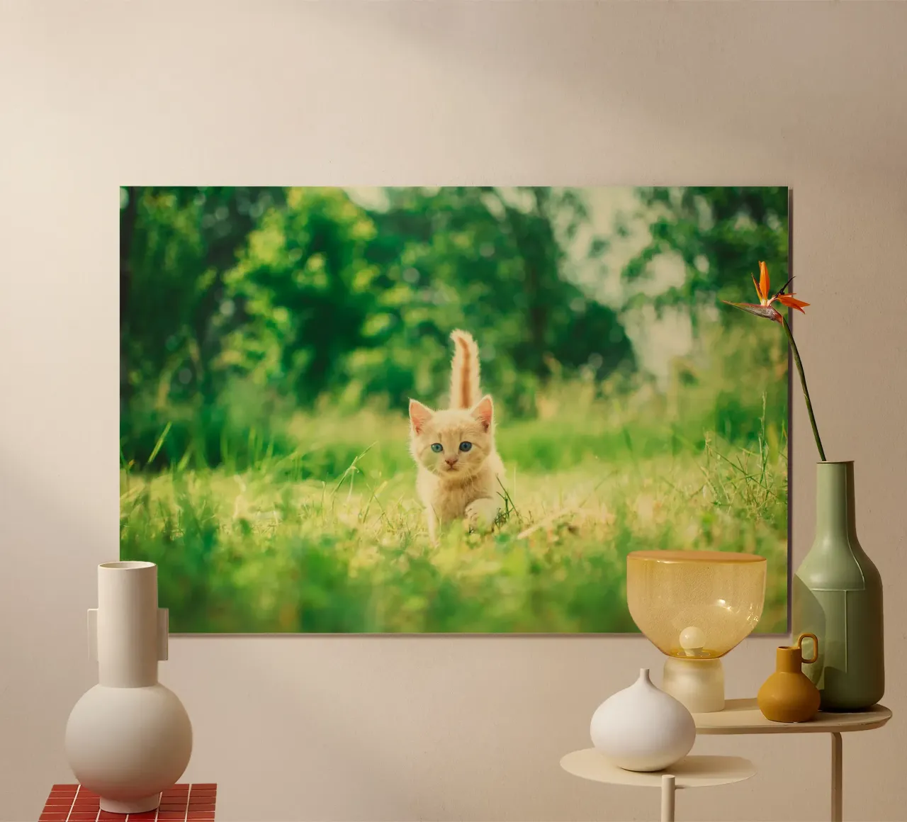 gattino baffuto poster da animal story home