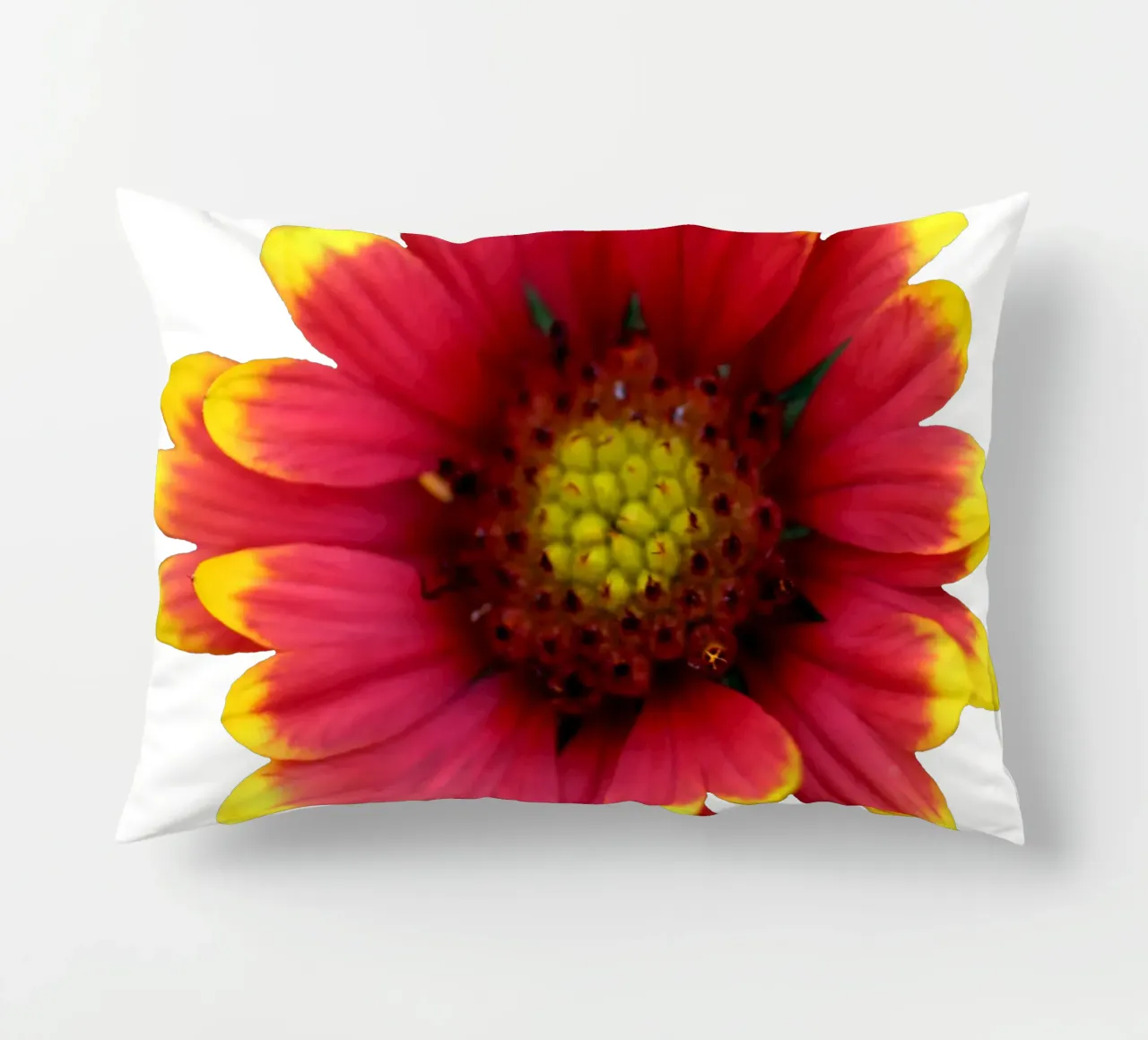 Fiore macro cuscino da Bold Blooms