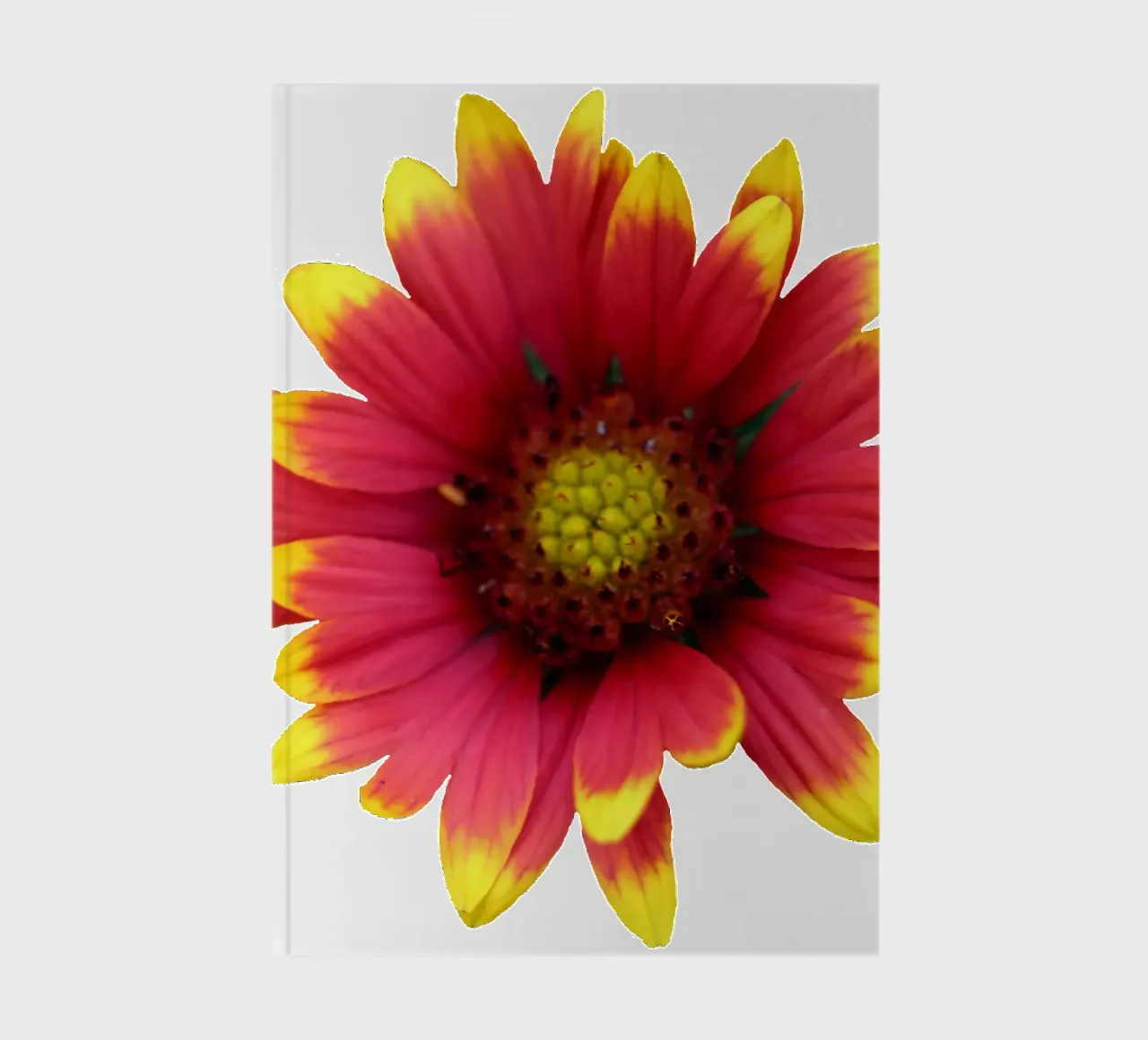 Macro Flower notebook by Bold Blooms