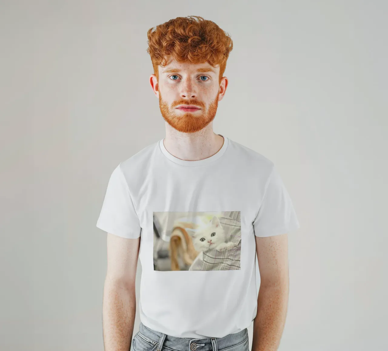 gattino in un ambiente accogliente t-shirt da animal story home