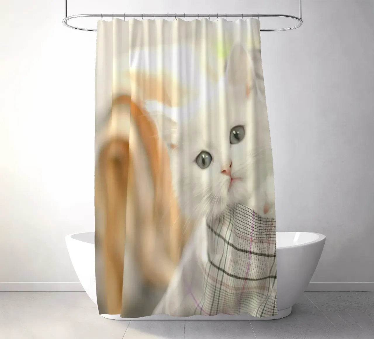 gattino in un ambiente accogliente tenda da doccia da animal story home