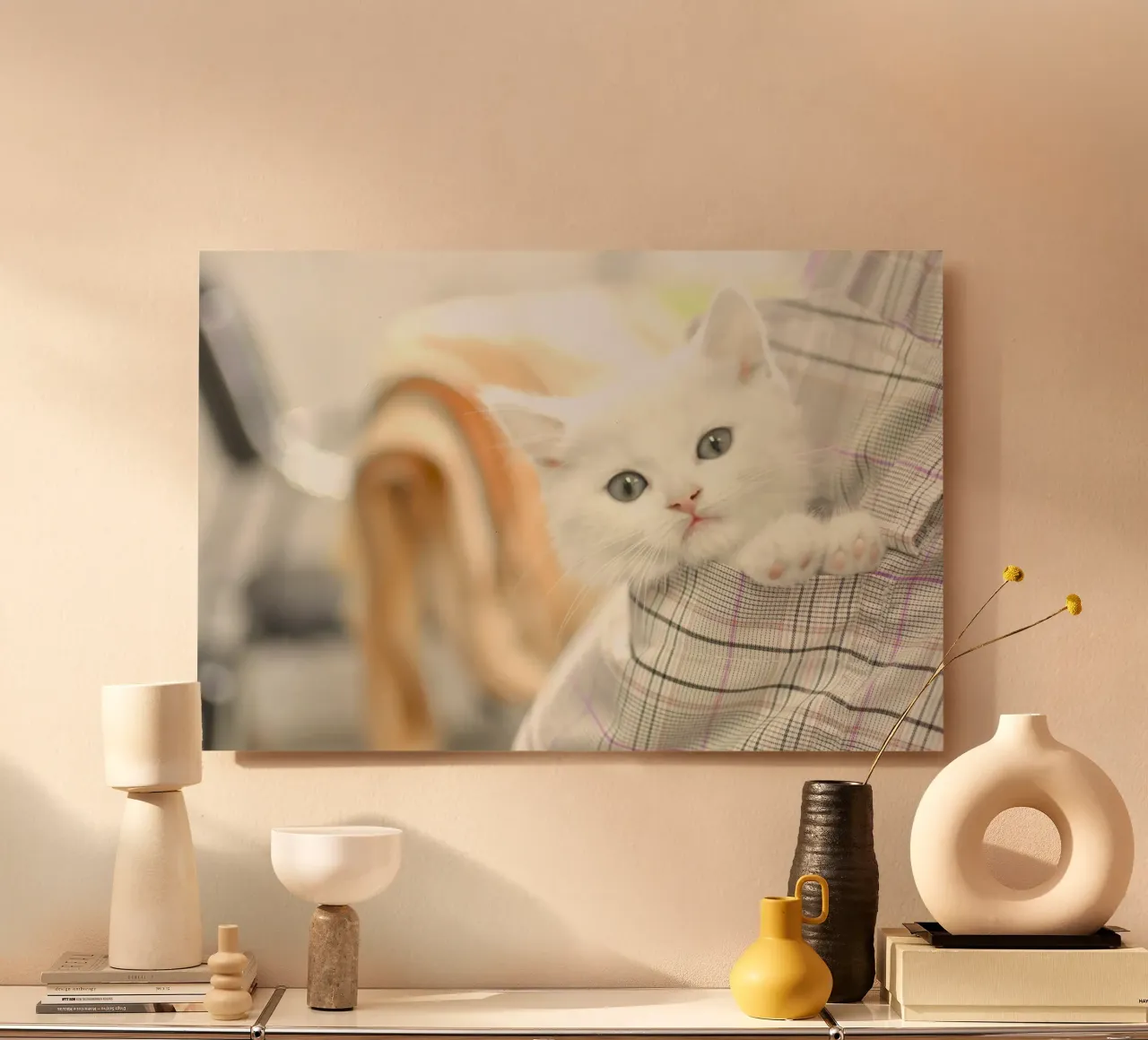gattino in un ambiente accogliente alluminio dibond da animal story home