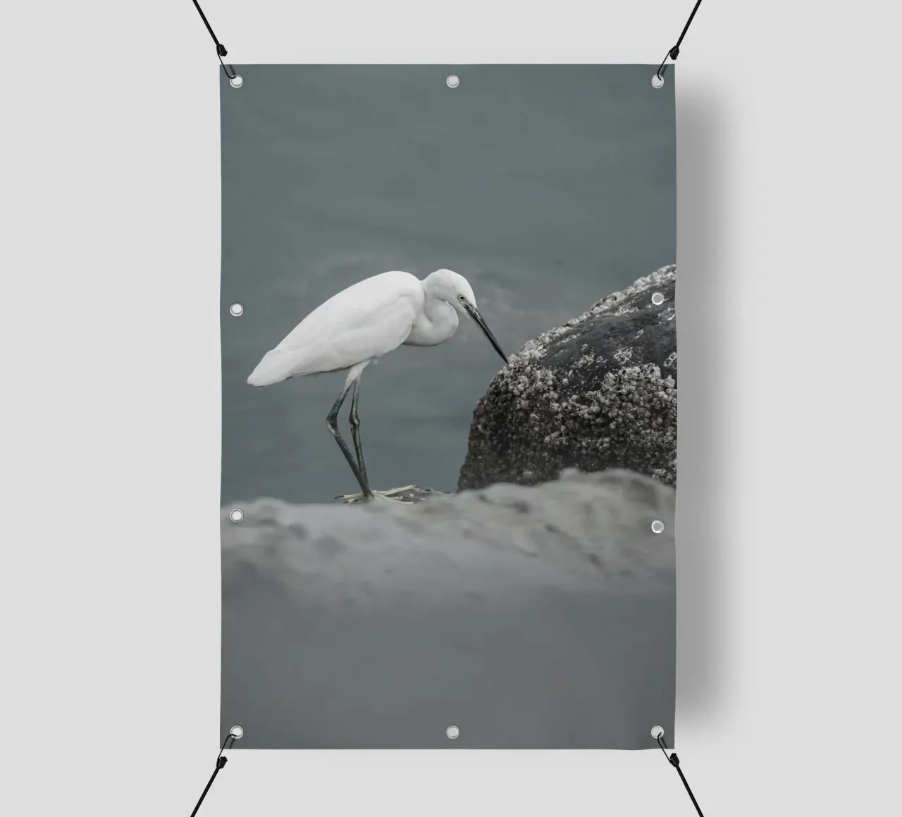 garzetta uccello fauna selvatica telo in pvc da animal story home