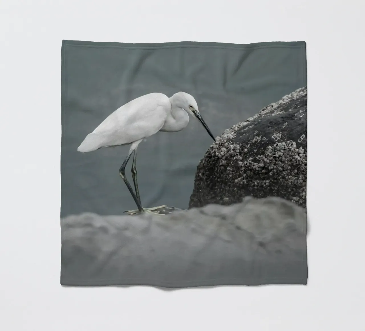 garzetta uccello fauna selvatica coperta in pile da animal story home