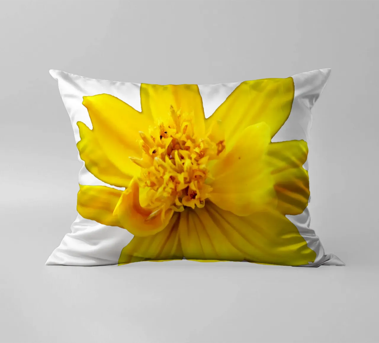 Fiore macro cuscino da Bold Blooms