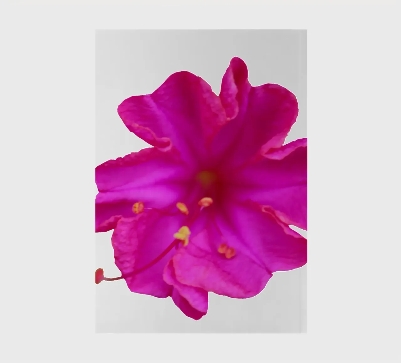 Macro Flower notebook by Bold Blooms