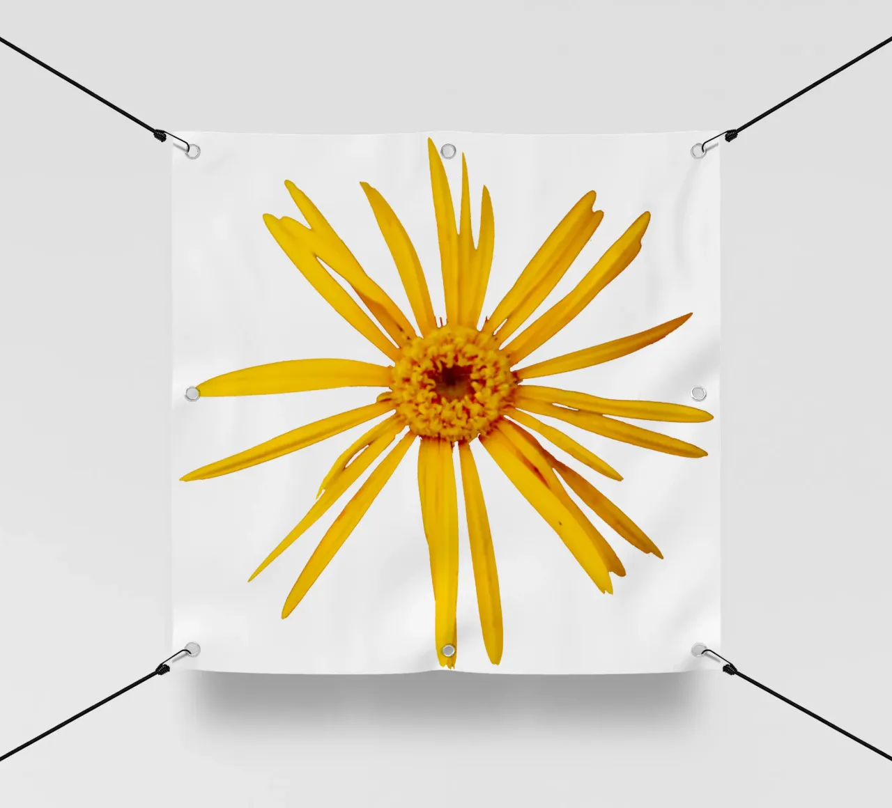 Fiore macro telo in pvc da Bold Blooms