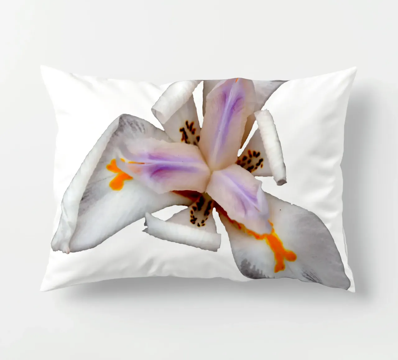 Fiore macro cuscino da Bold Blooms