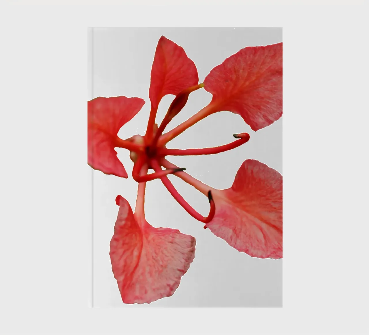 Macro Flower notebook by Bold Blooms