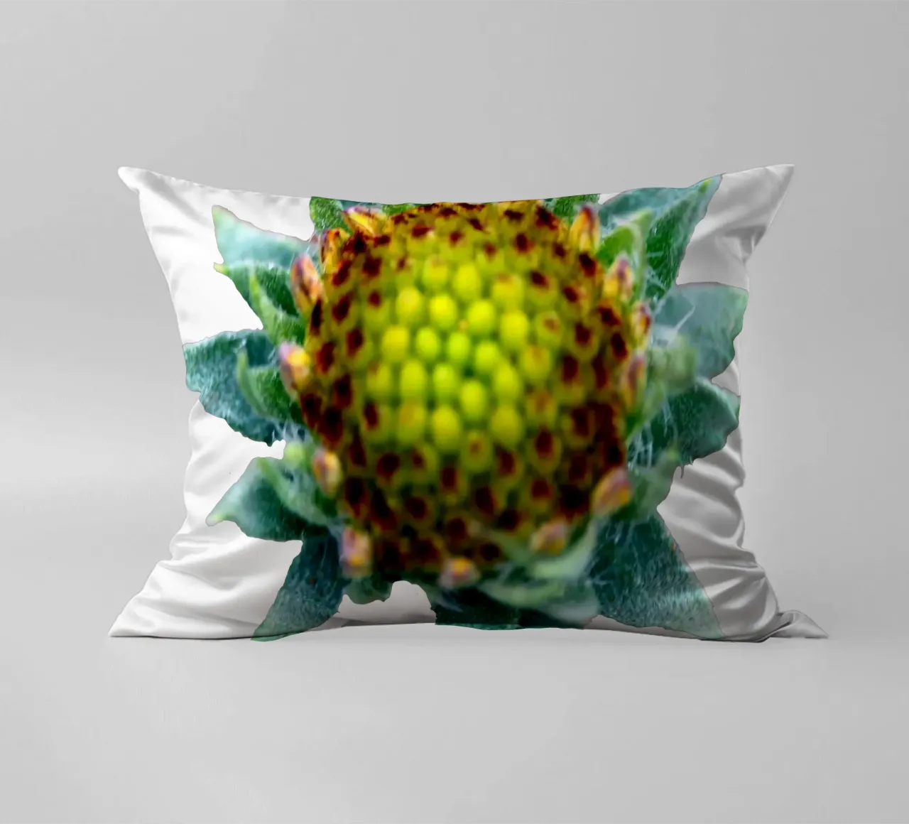 Fiore macro cuscino da Bold Blooms