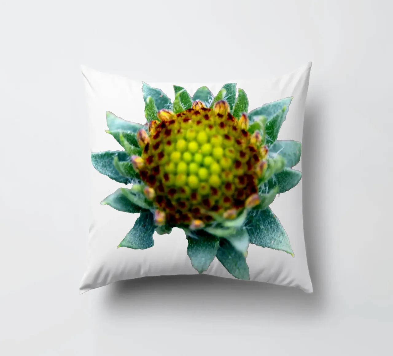 Fiore macro cuscino da Bold Blooms
