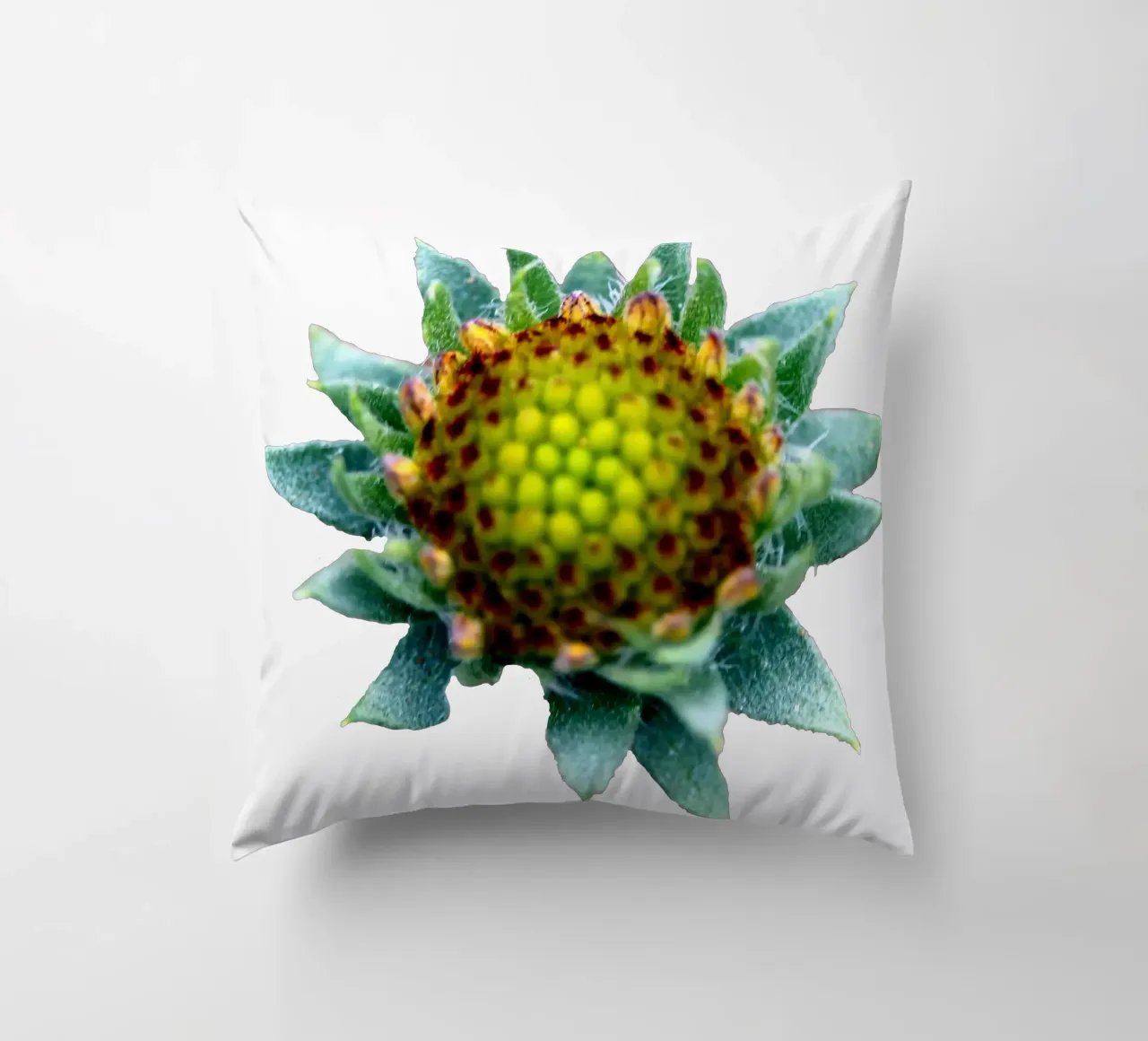 Fiore macro cuscino da Bold Blooms