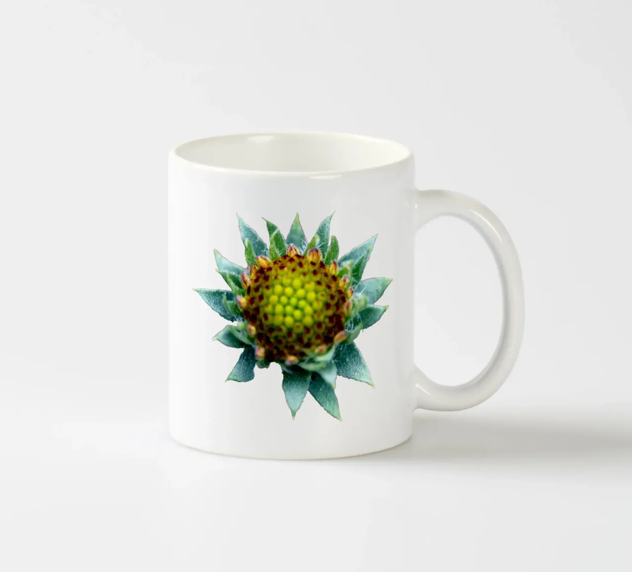 Fiore macro tazza in ceramica da Bold Blooms