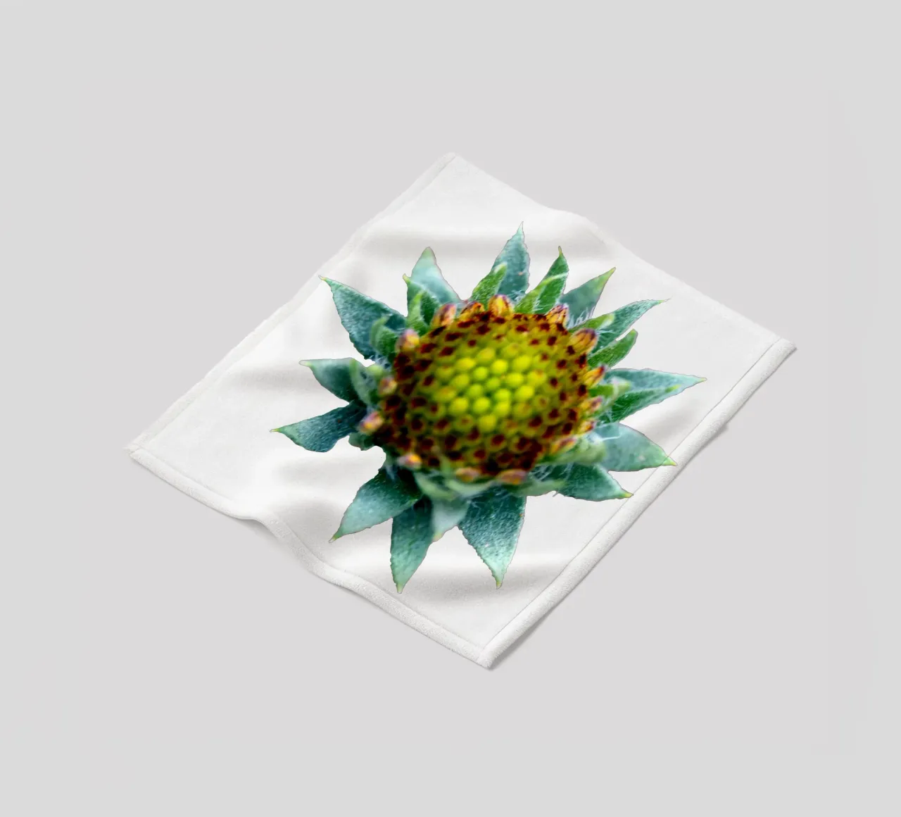 Fiore macro coperta in pile da Bold Blooms