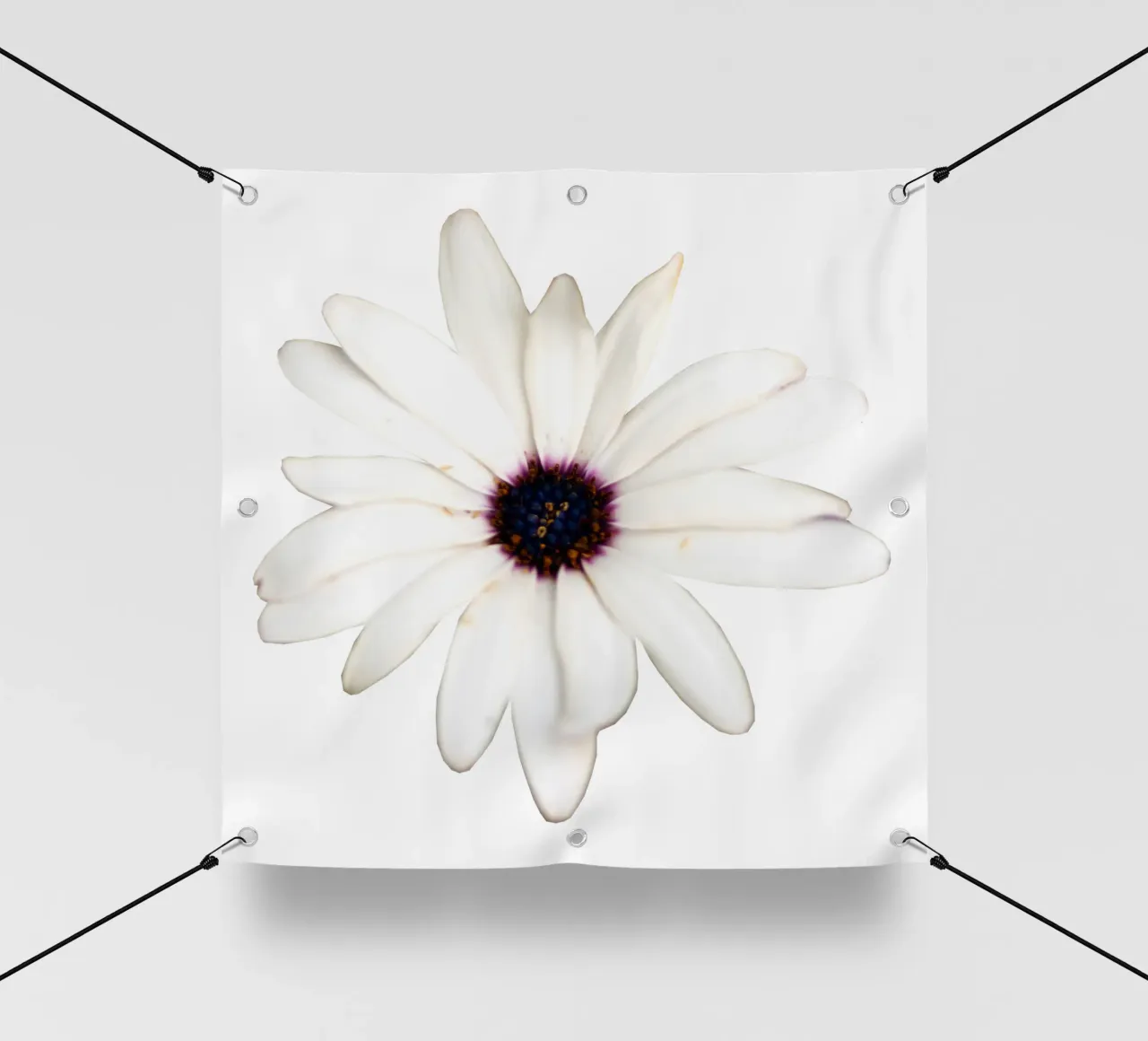 Fiore macro telo in pvc da Bold Blooms