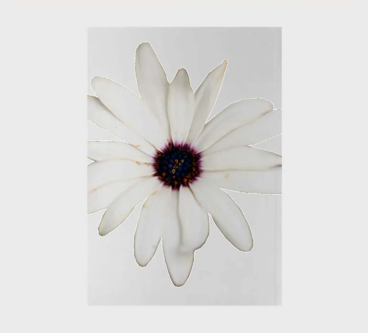 Macro Flower notebook by Bold Blooms