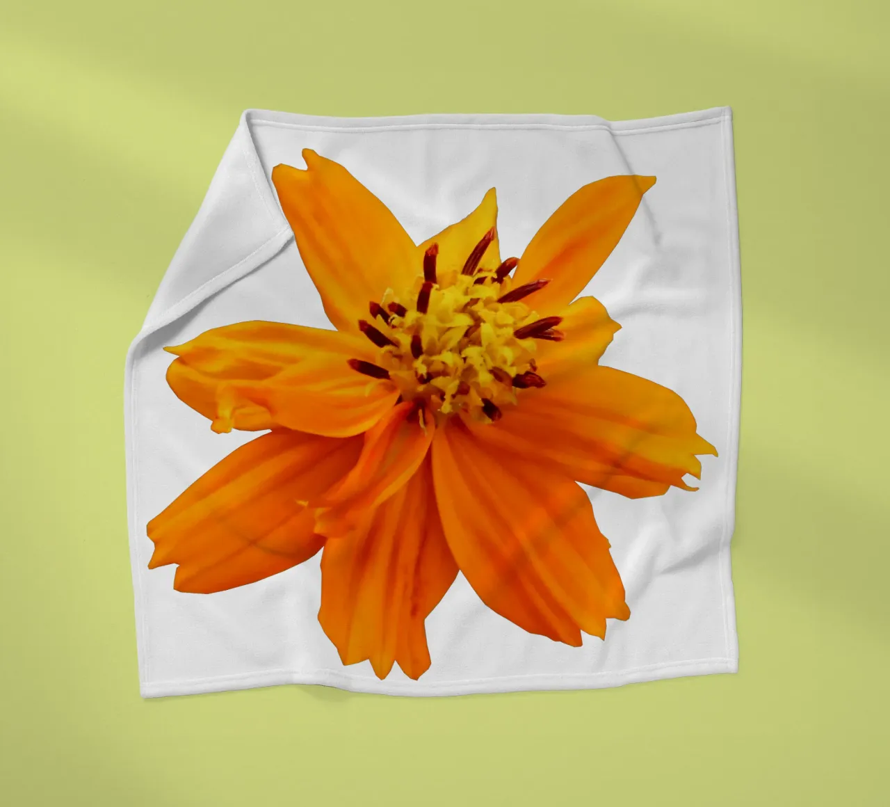 Fiore macro coperta in pile da Bold Blooms