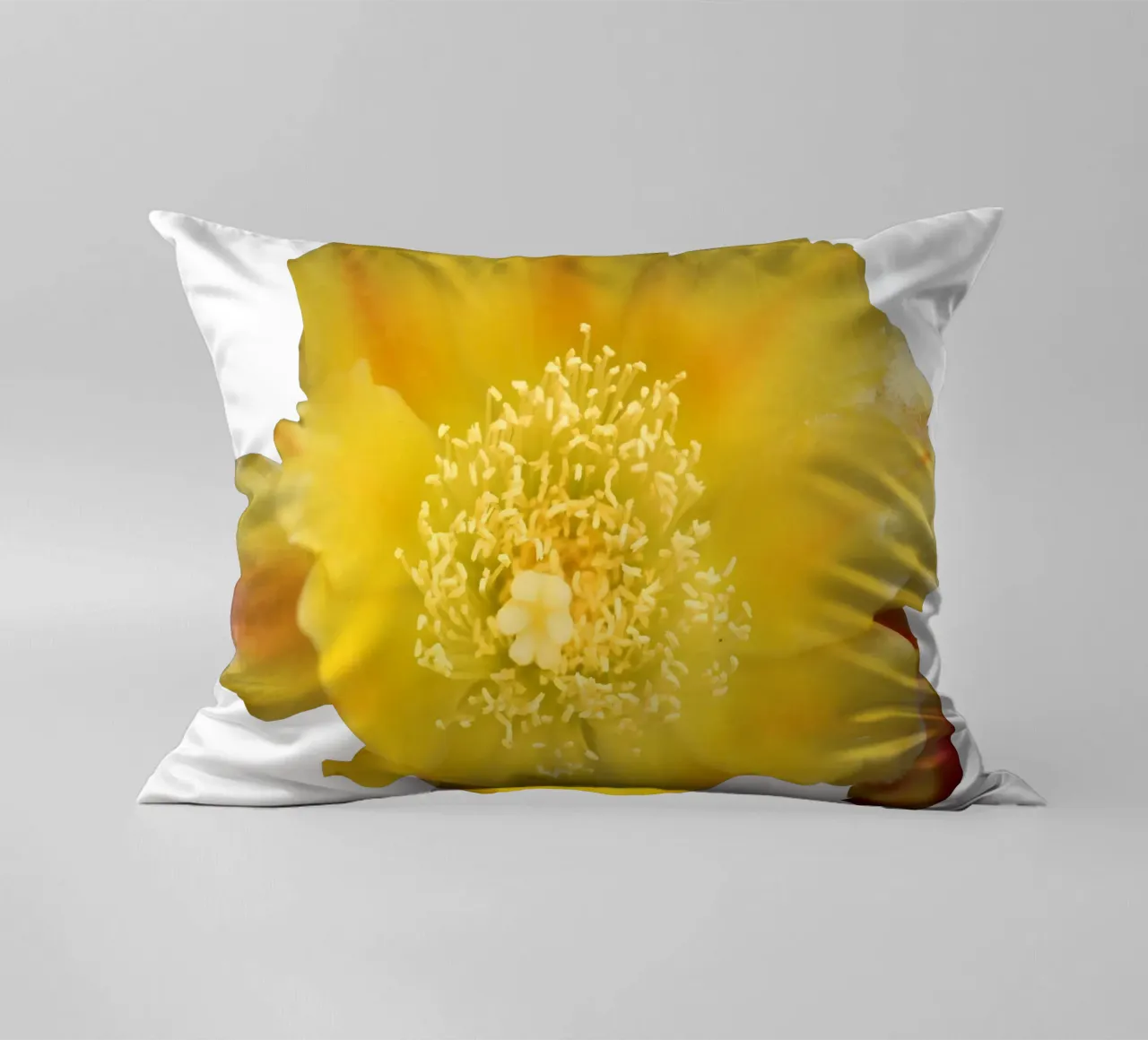 Fiore macro cuscino da Bold Blooms