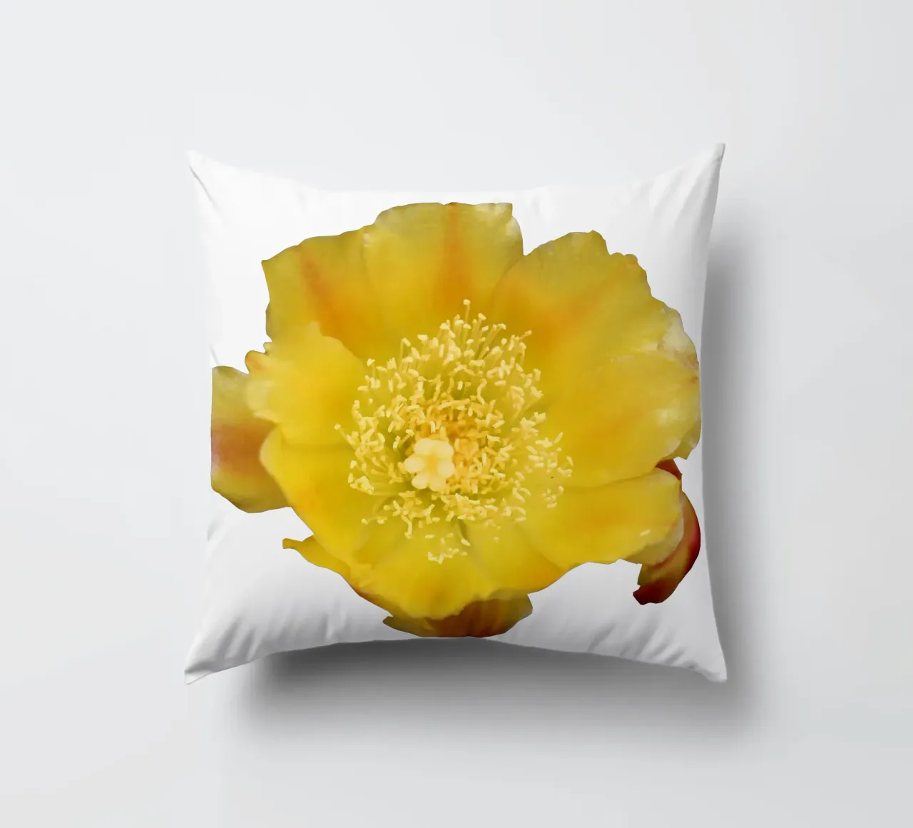Fiore macro cuscino da Bold Blooms
