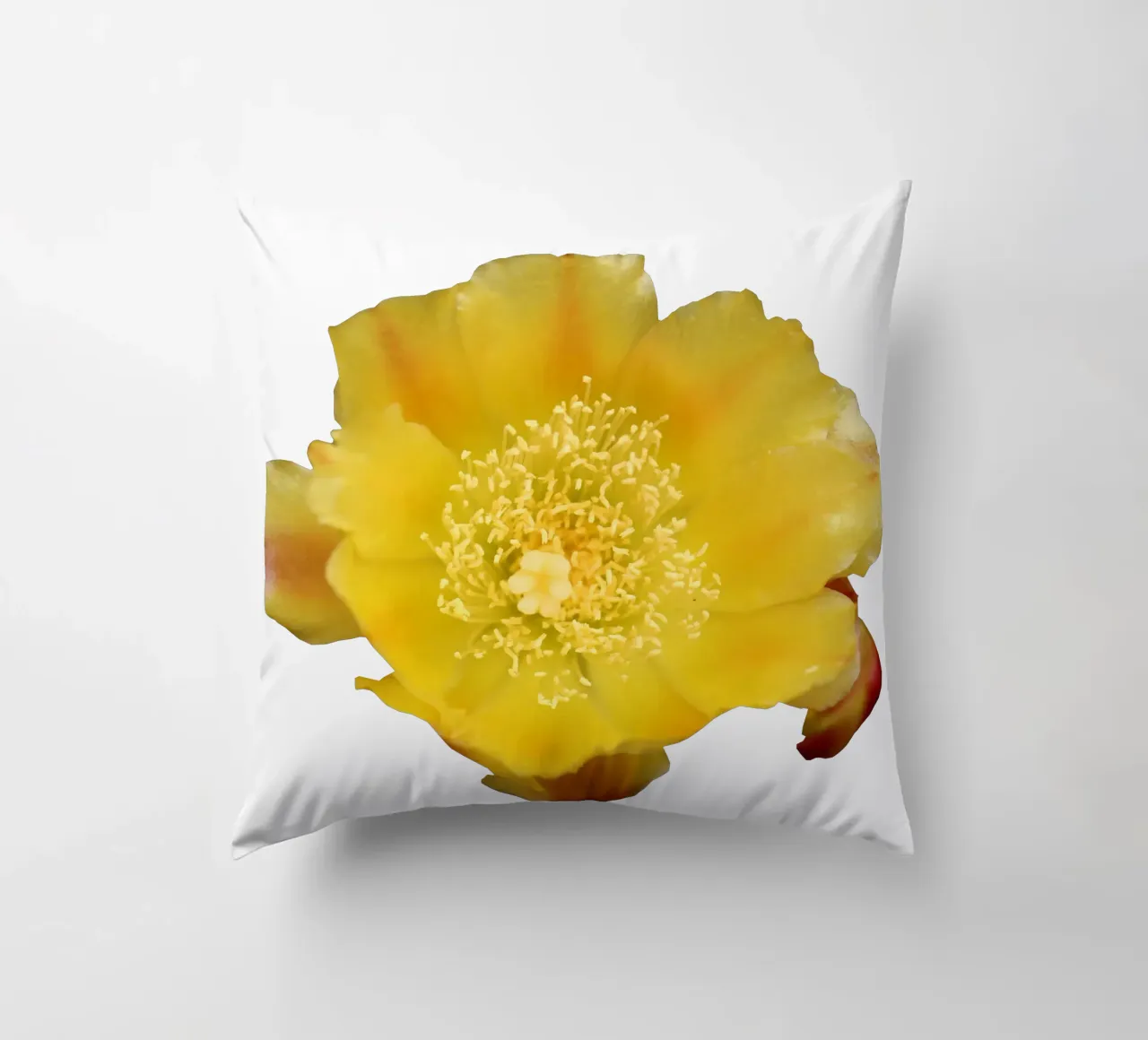Fiore macro cuscino da Bold Blooms