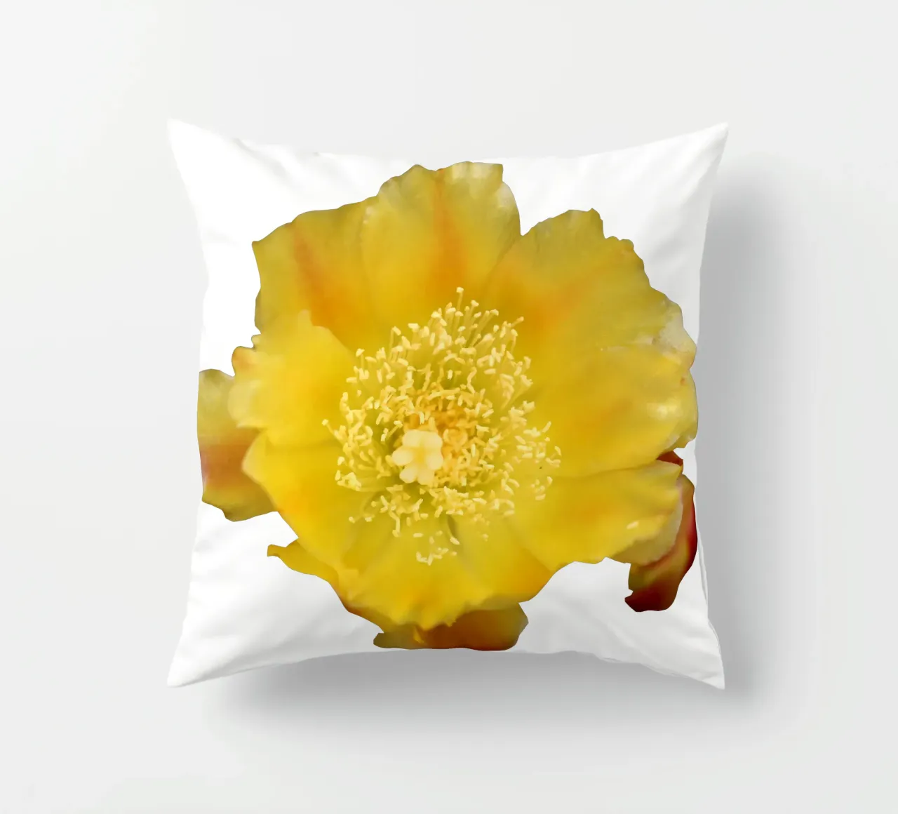 Fiore macro cuscino da Bold Blooms
