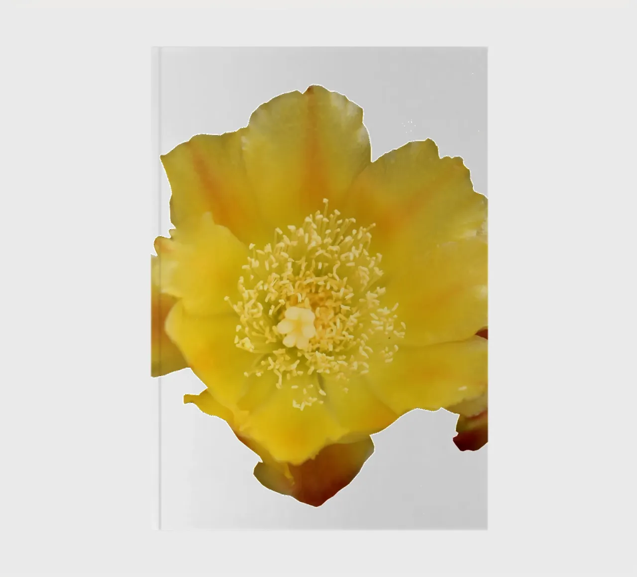 Macro Flower notebook by Bold Blooms