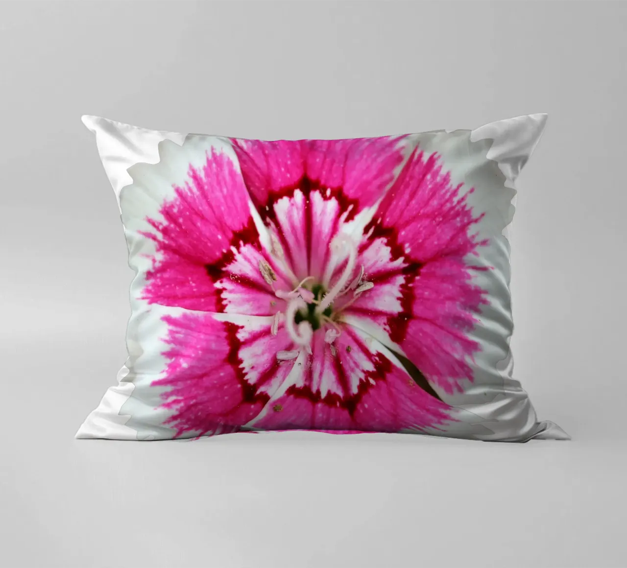 Fiore macro cuscino da Bold Blooms