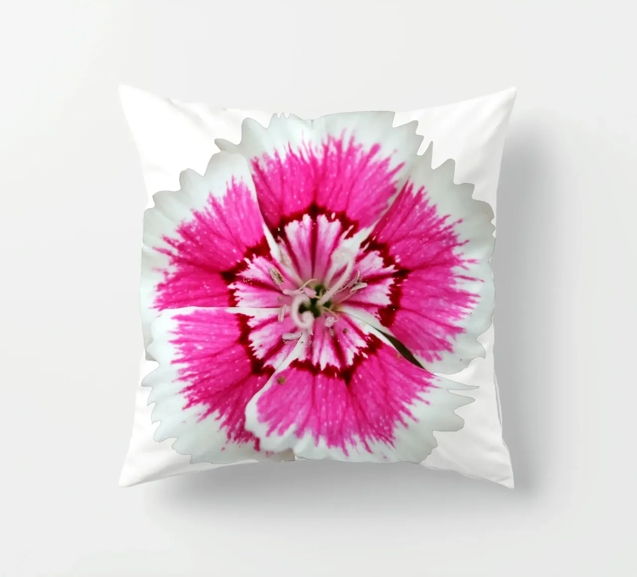 Fiore macro cuscino da Bold Blooms