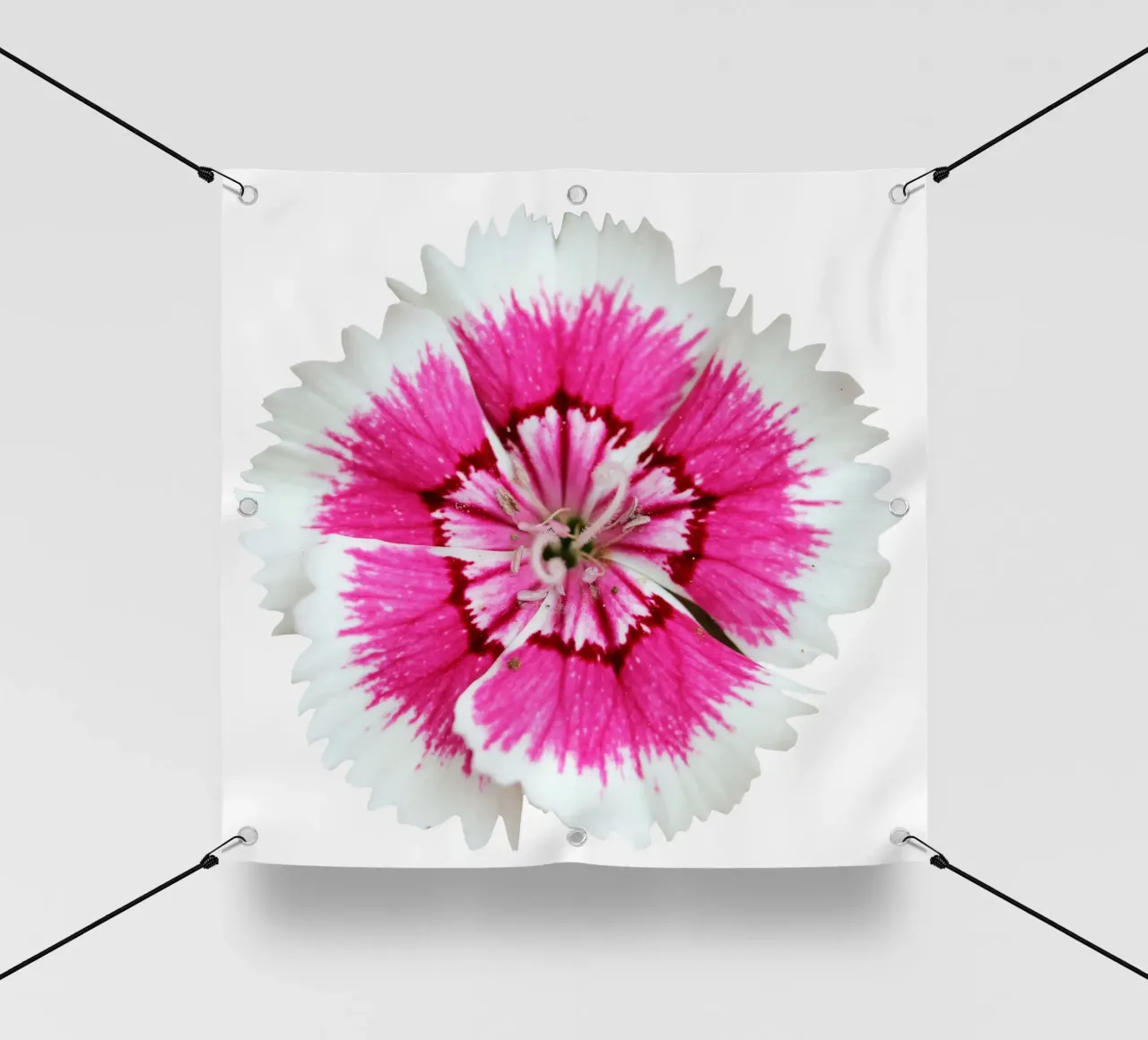 Fiore macro telo in pvc da Bold Blooms