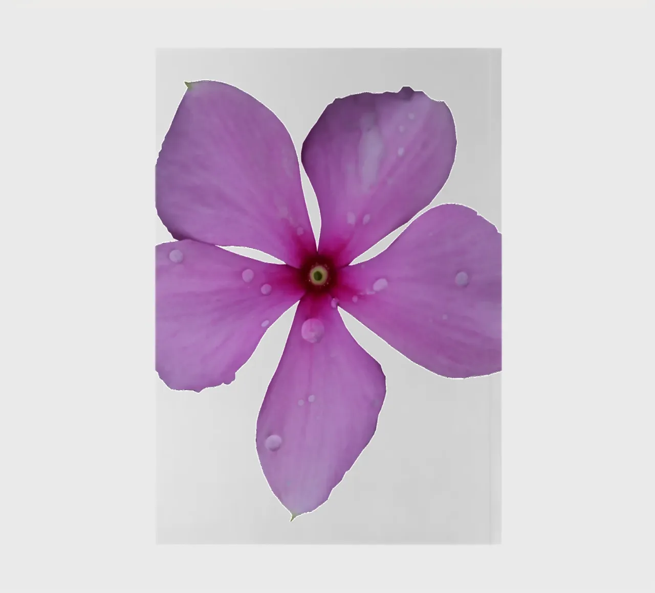 Macro Flower notebook by Bold Blooms