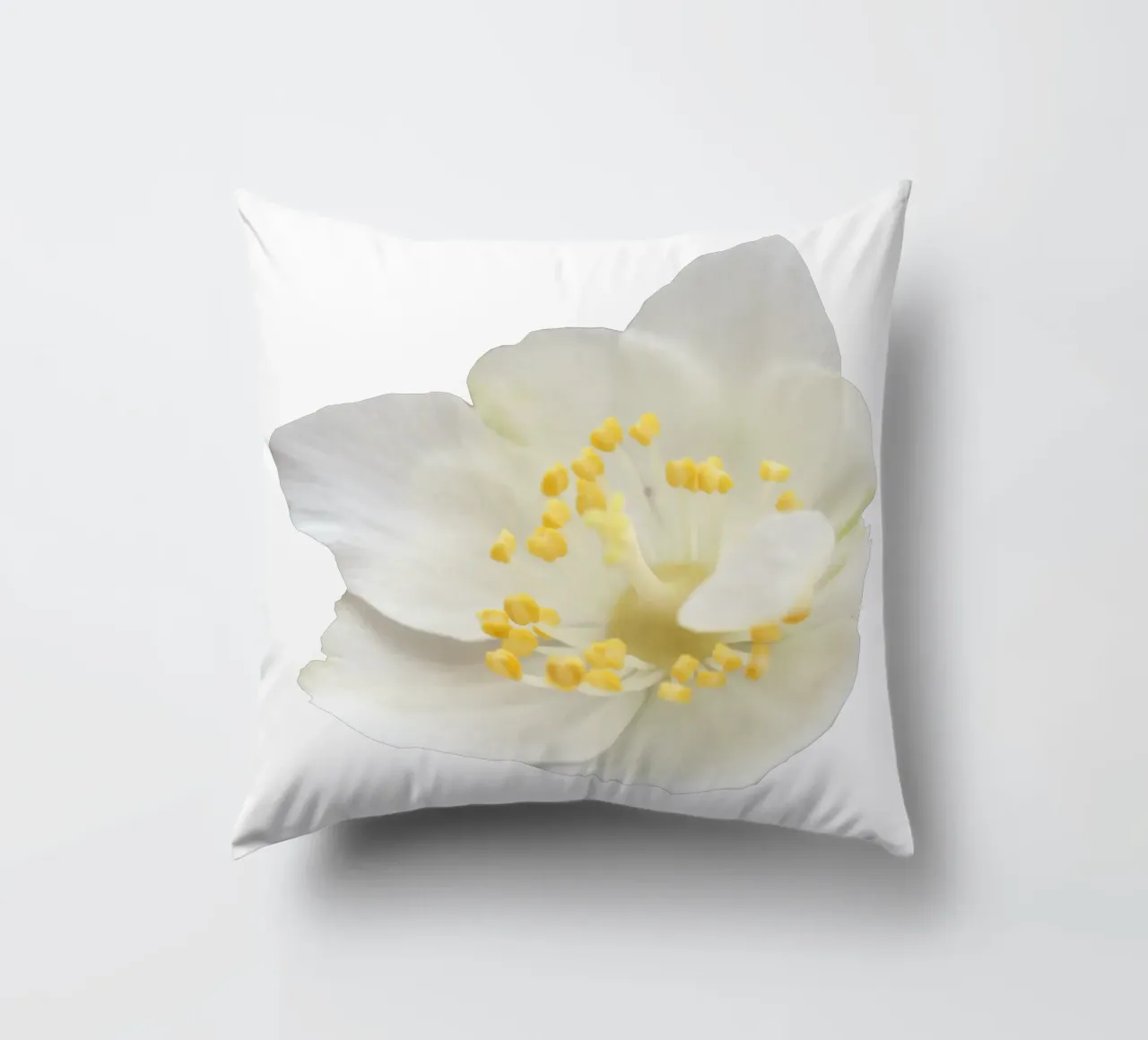 Fiore macro cuscino da Bold Blooms