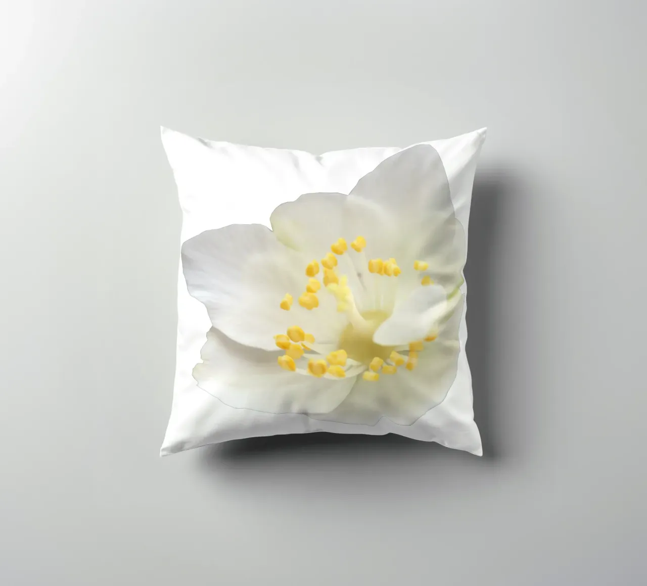 Fiore macro cuscino da Bold Blooms