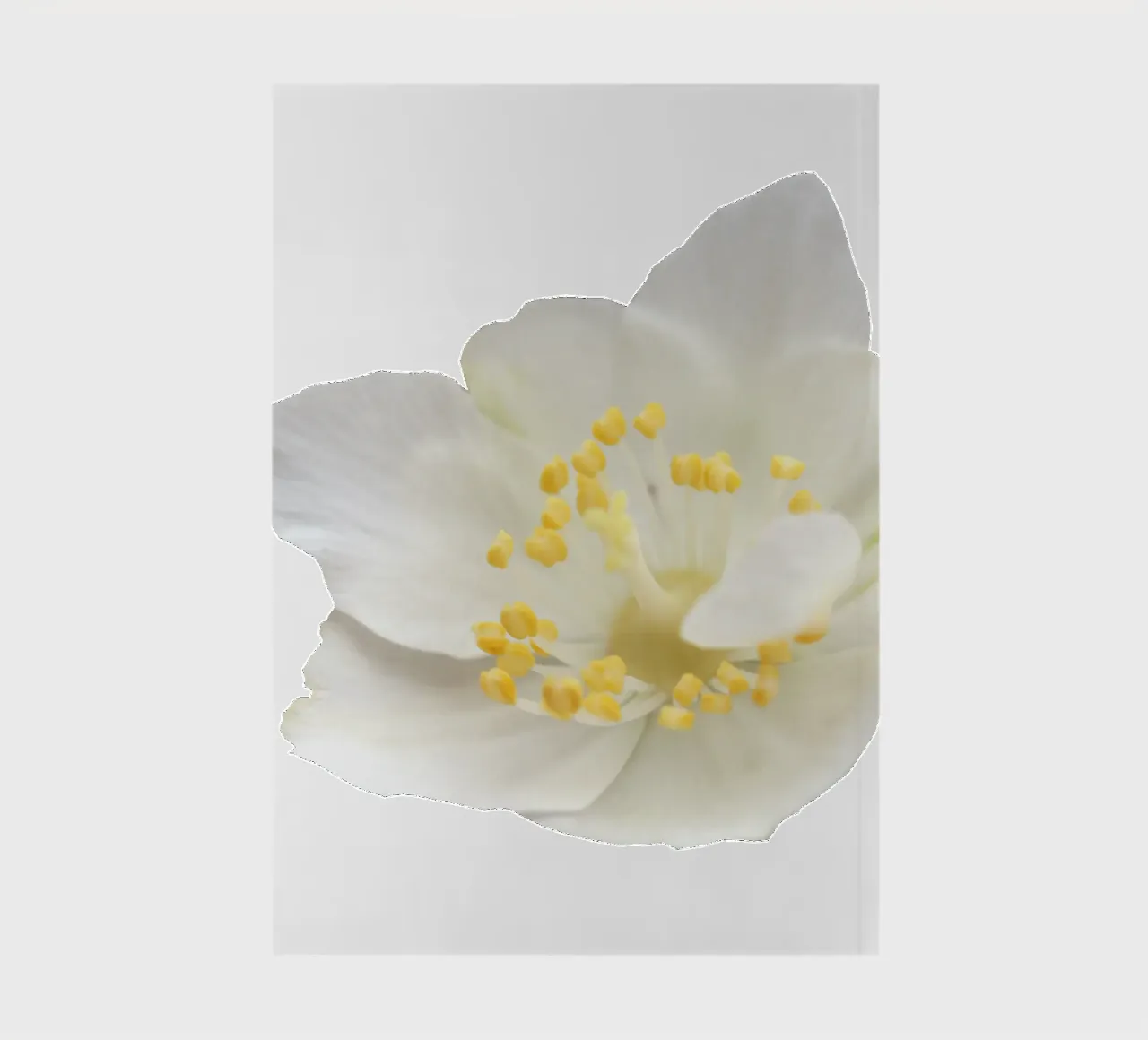 Macro Flower notebook by Bold Blooms