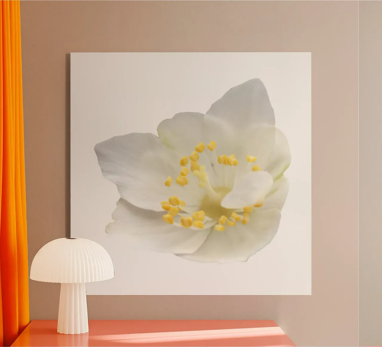Fiore macro plexiglass da Bold Blooms