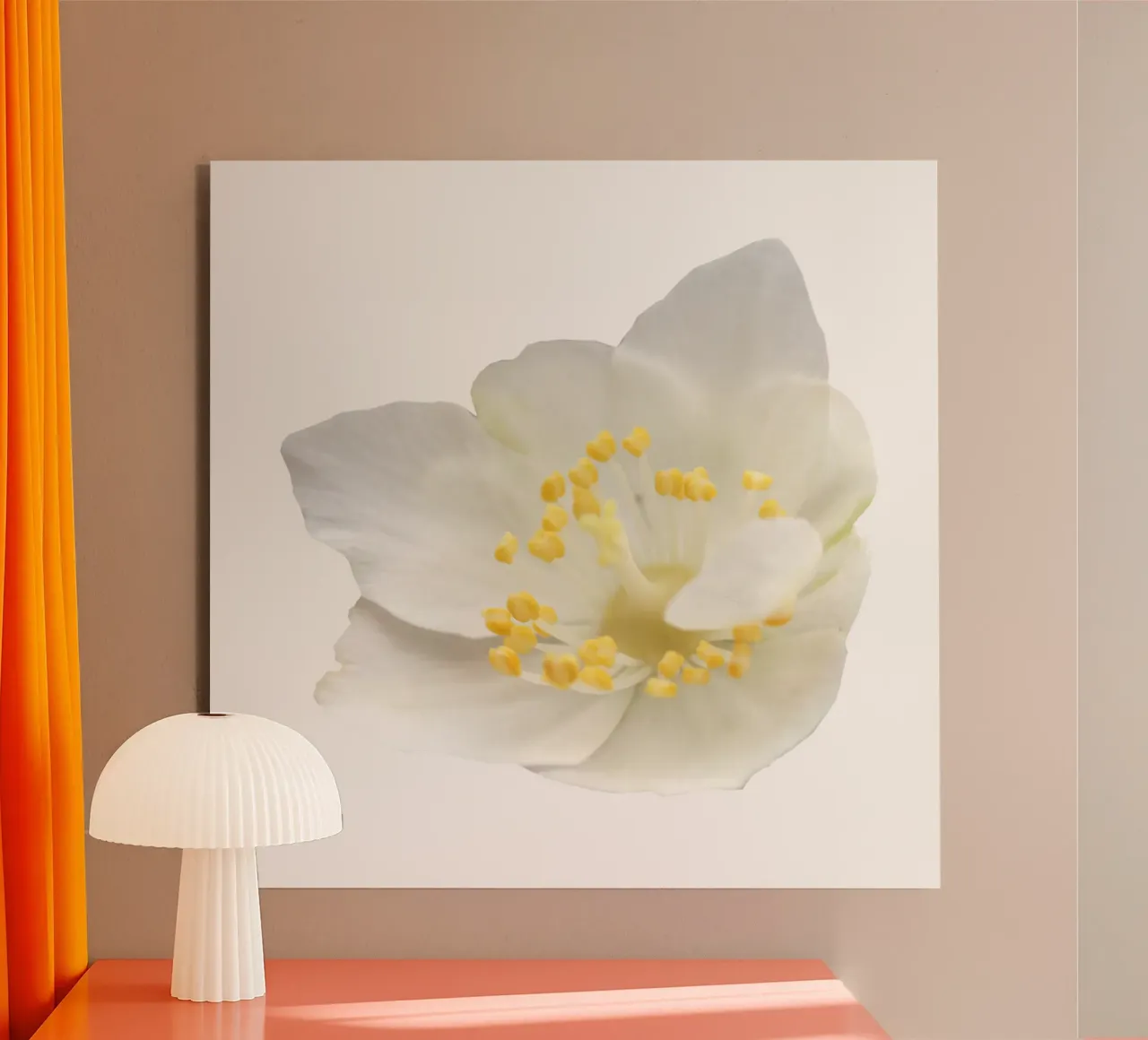 Fiore macro alluminio dibond da Bold Blooms