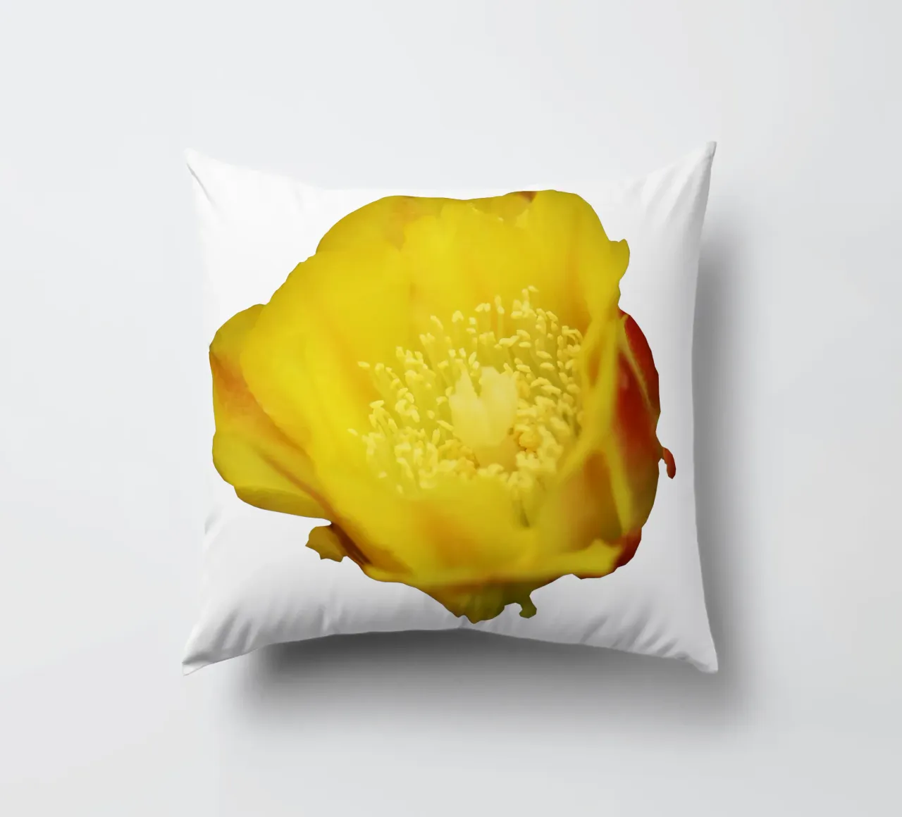 Fiore macro cuscino da Bold Blooms