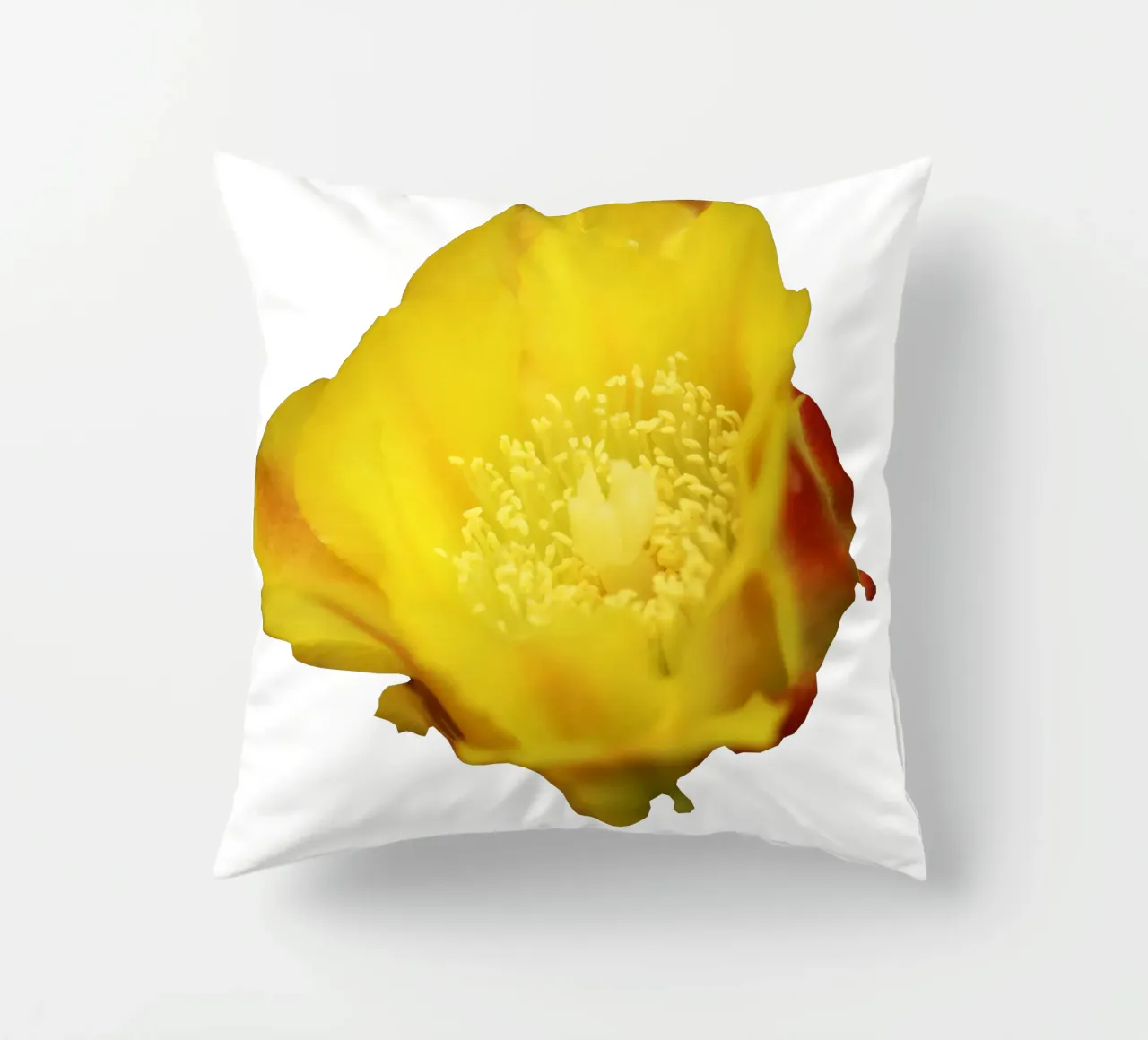 Fiore macro cuscino da Bold Blooms