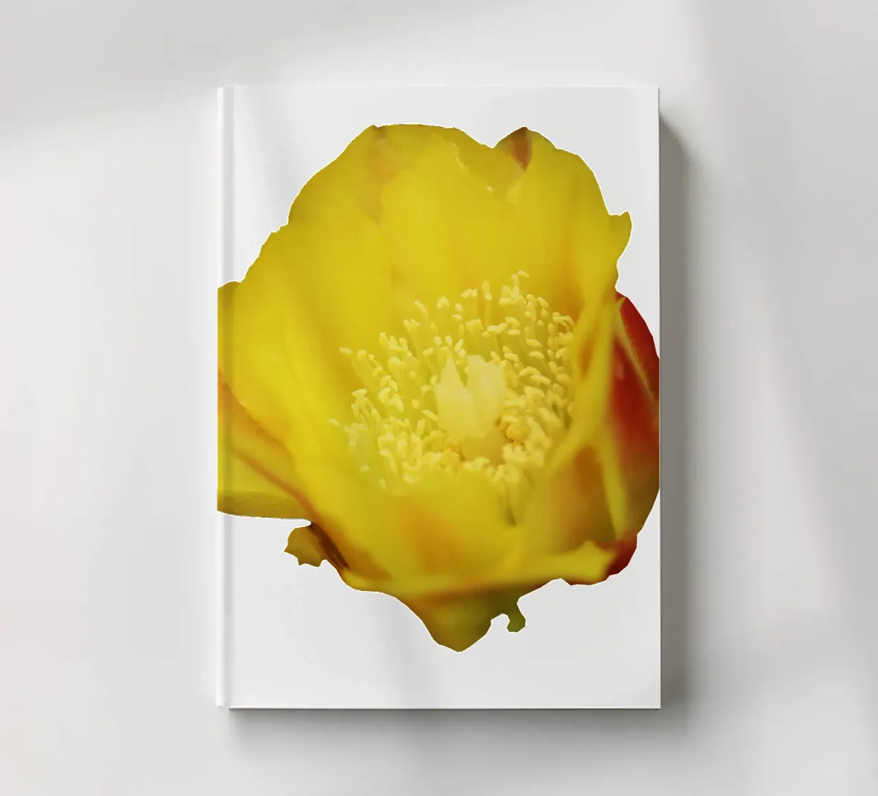 Macro Flower notebook by Bold Blooms