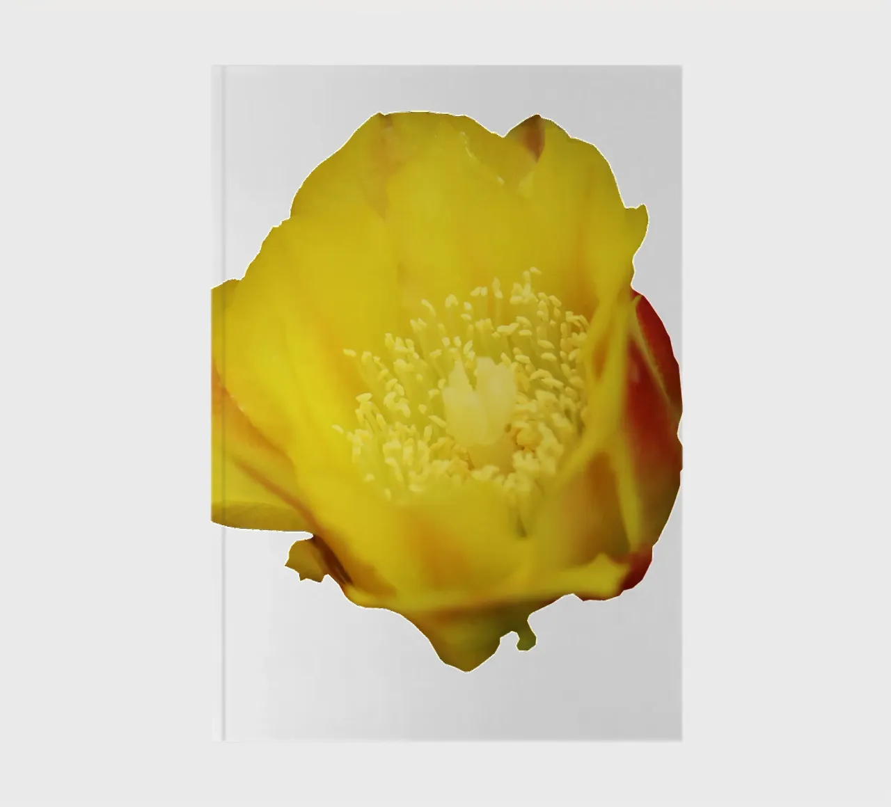 Macro Flower notebook by Bold Blooms