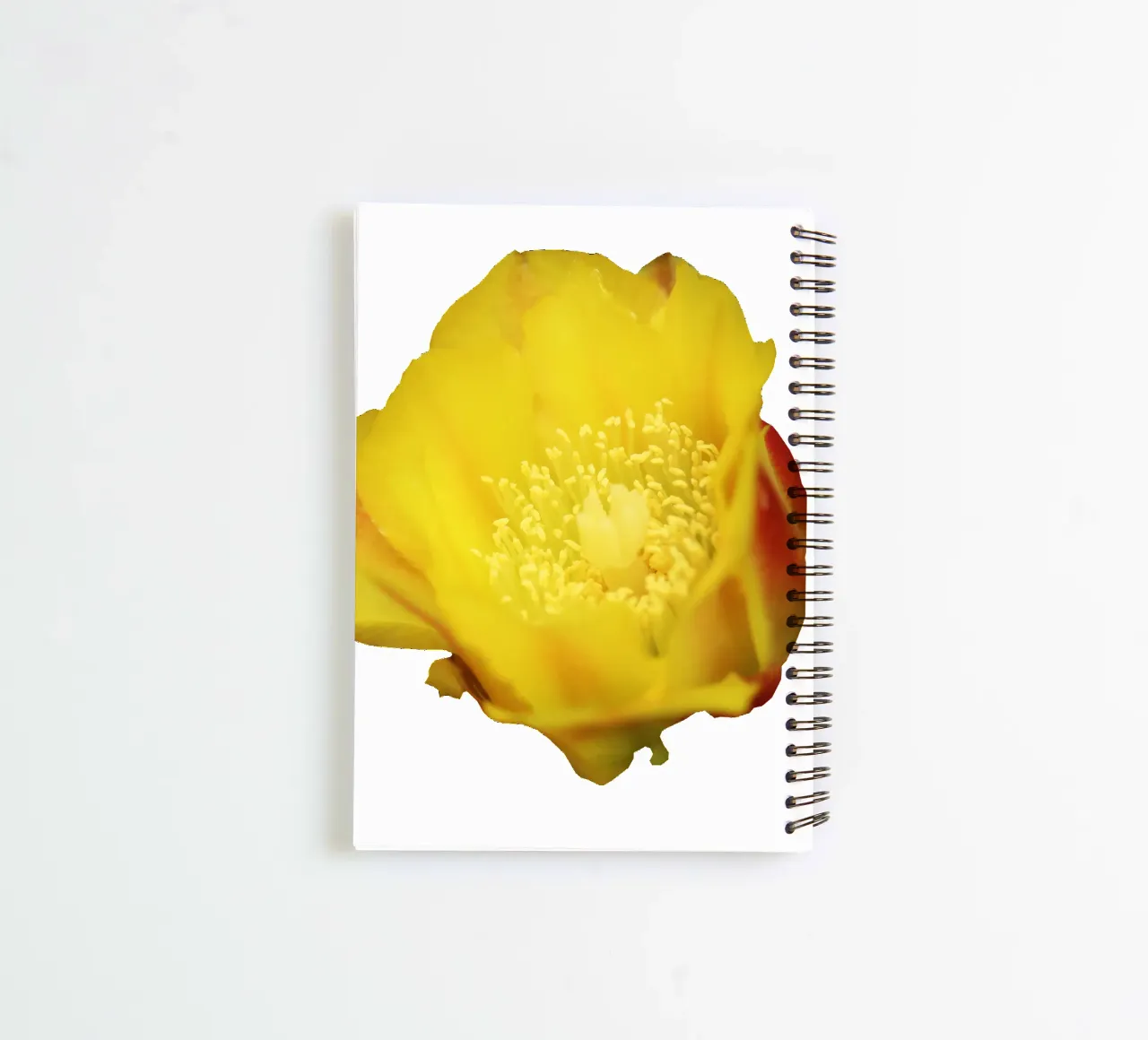 Macro Flower spiral notebook by Bold Blooms
