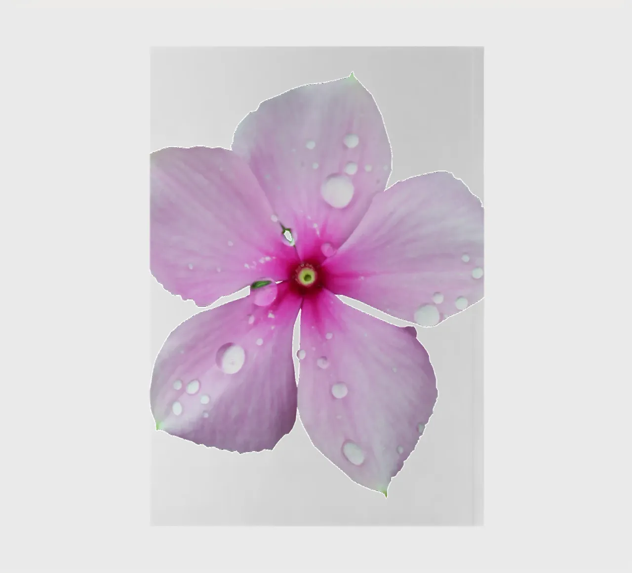 Macro Flower notebook by Bold Blooms