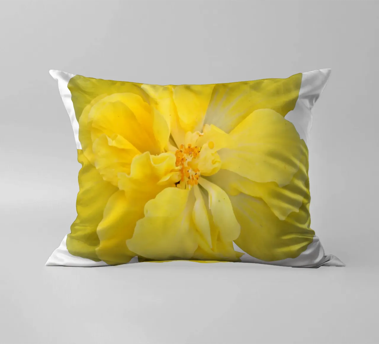 Fiore macro cuscino da Bold Blooms
