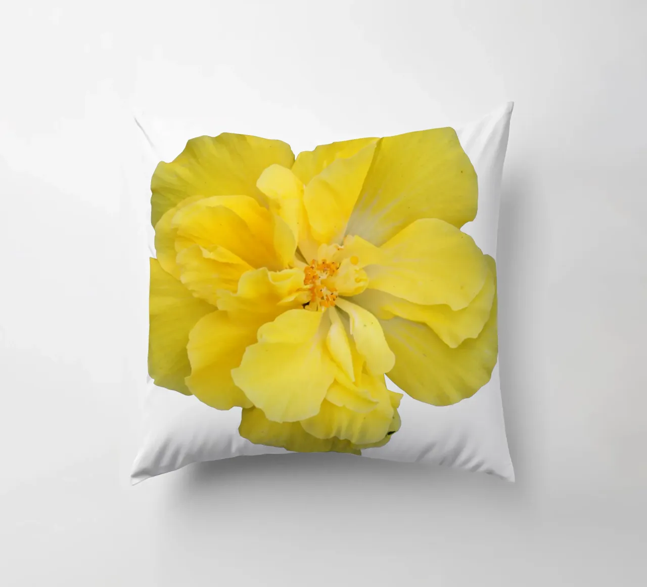 Fiore macro cuscino da Bold Blooms