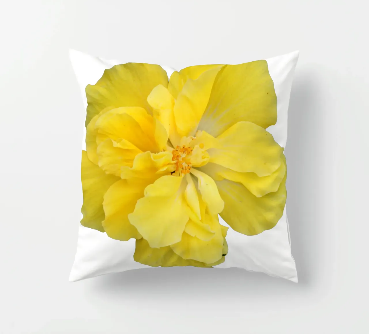 Fiore macro cuscino da Bold Blooms