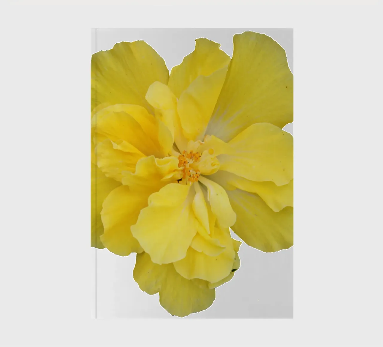Macro Flower notebook by Bold Blooms