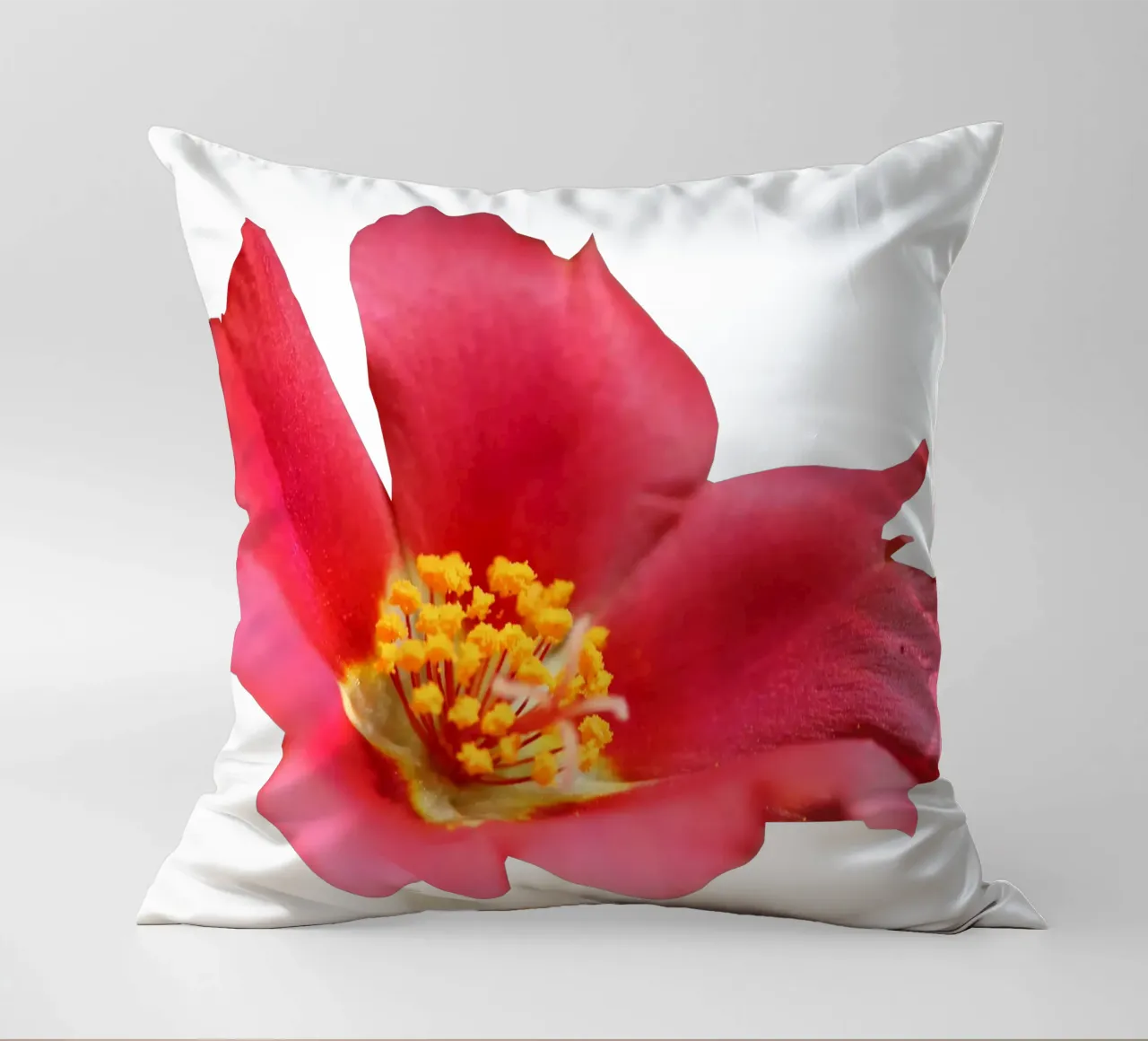 Fiore macro cuscino da Bold Blooms