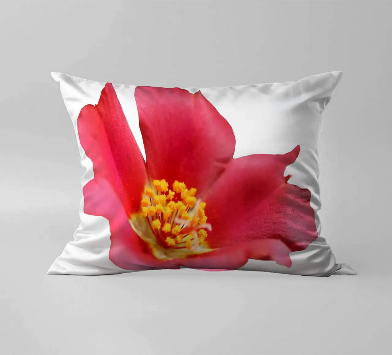 Fiore macro cuscino da Bold Blooms
