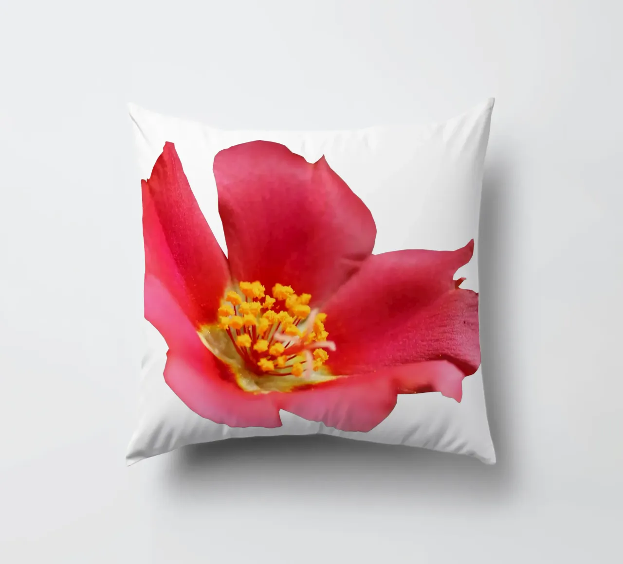Fiore macro cuscino da Bold Blooms