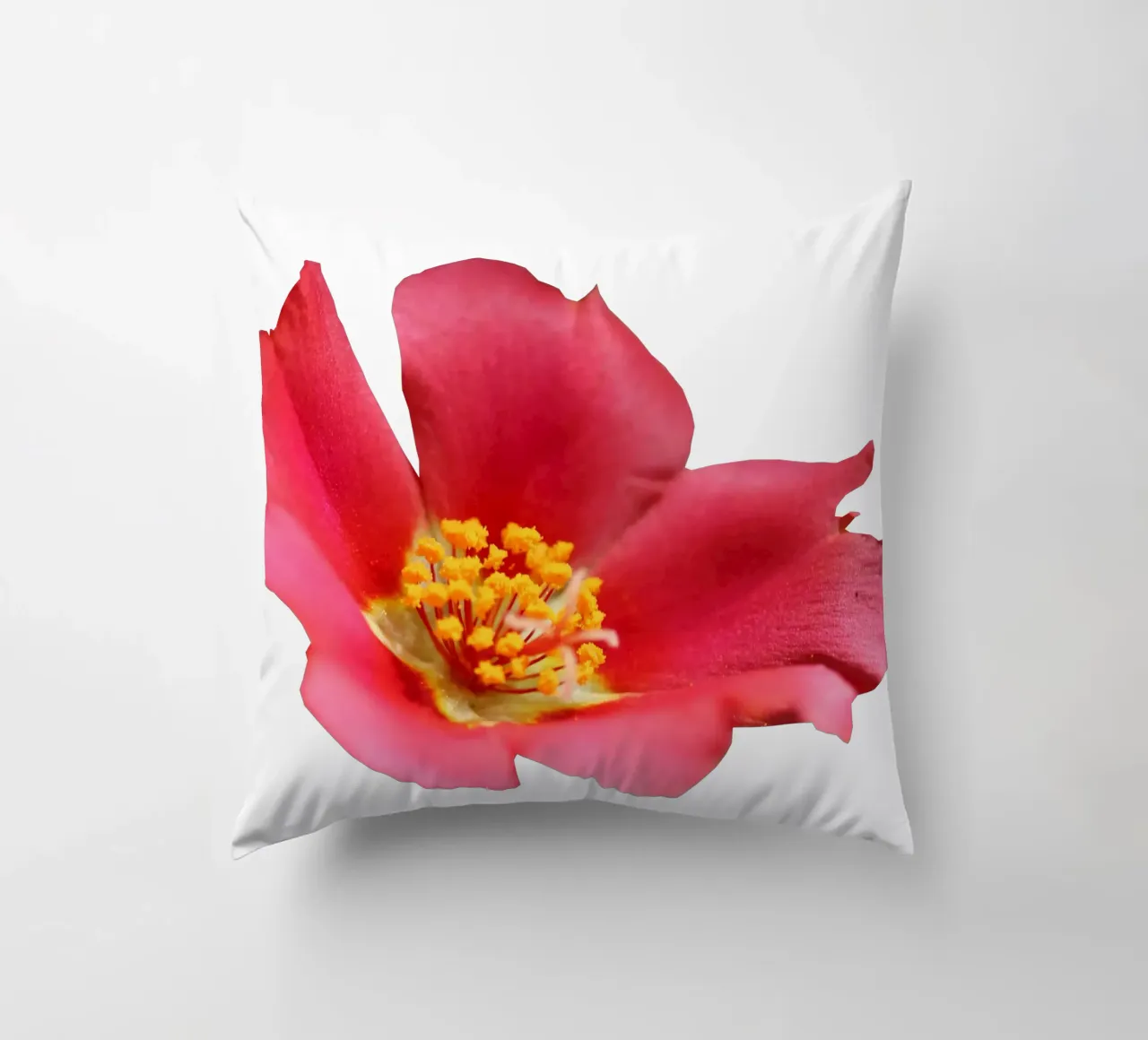 Fiore macro cuscino da Bold Blooms